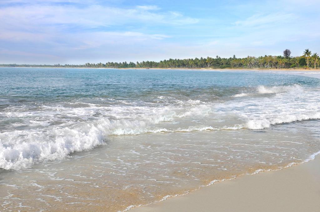 Amaya Beach Passikudah Room photo